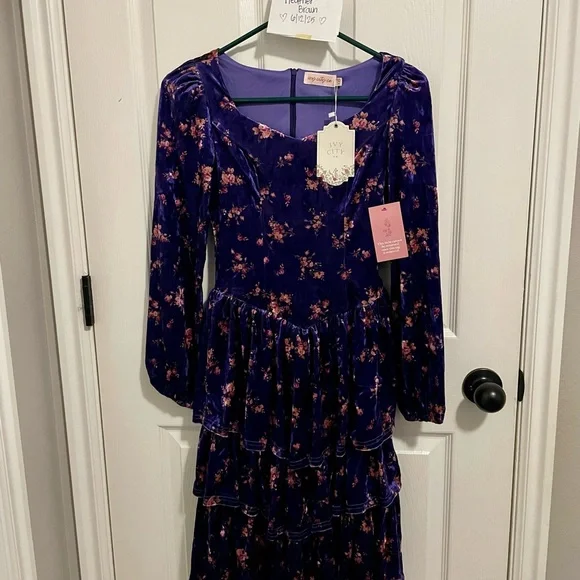 Ivy City Co Nikki dress size XXS - Picture 6 of 6